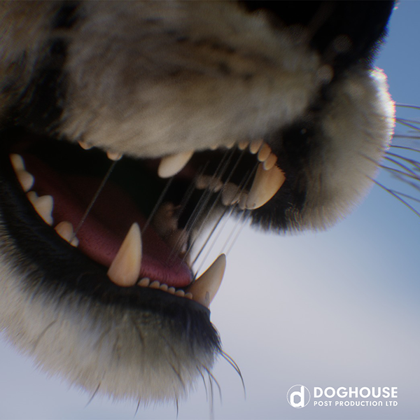 Predator V Prey Detail