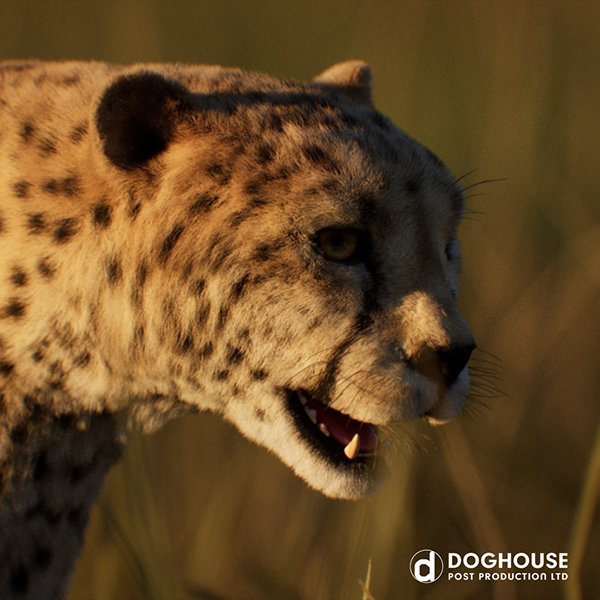 Predator V Prey Detail